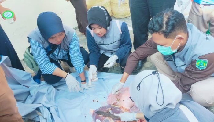 Disnakkeswan Kabupaten Pasuruan Kerahkan Ratusan Petugas Pemeriksaan Hewan Qurban