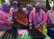 TP PKK Jakarta Timur Tingkatkan Ketahanan Pangan, Tanam Melon dan Cabai