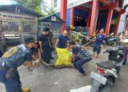BBKSDA Jatim Evakuasi Puluhan Ular Besar di Permukiman Kabupaten Gresik