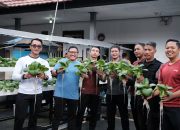 Panen Perdana Pakcoy Hidroponik, Bukti Keseriusan Lapas Tabanan Wujudkan Ketahanan Pangan