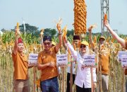 Wakil Bupati Kediri Hadiri Grand Launching Benih Jagung Hibrida “NK Perkasa Sakti” dari Syngenta