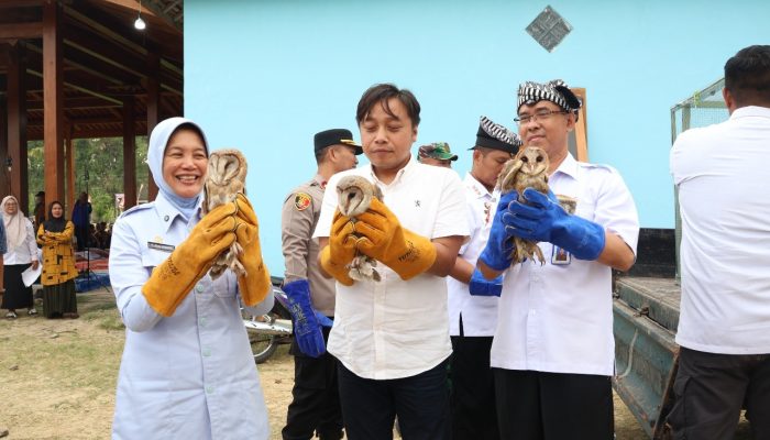 Bojonegoro Terus Kembangkan Strategi Rubuha untuk Kendalikan Hama Tikus Sawah