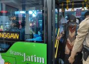 Kado HUT ke-80 RI, Dishub Gratiskan Layanan Bus Trans Jatim Dua Hari