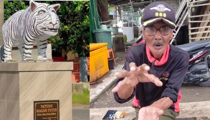 Sisi Lain di Balik Viral “Patung Macan Menggemaskan” Balongjeruk: Cak Suwari Ungkap Filosofi Keamanan dan Ramah Anak