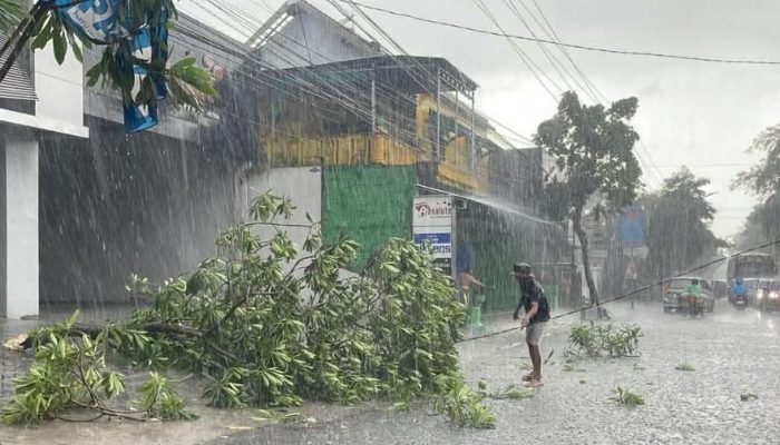 Hujan Lebat dan Angin Kencang Picu Pohon Tumbang, BPBD Kota Kediri Tanggap Cepat Atasi Dampak Cuaca Ekstrem