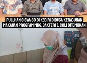 Puluhan Siswa SD di Kediri Diduga Keracunan Makanan Program MBG, Bakteri E. Coli Ditemukan