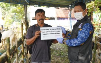 Jelang Idul Adha 1447 H, DKPP Kota Kediri Intensifkan Sidak Kesehatan Hewan Kurban
