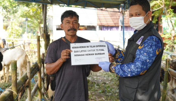 Jelang Idul Adha 1447 H, DKPP Kota Kediri Intensifkan Sidak Kesehatan Hewan Kurban