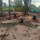 Pembuatan Kusen Pintu dan Perataan Timbunan RTLH Jadi Fokus Pekerjaan Satgas TMMD Ke 129