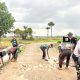 Gotong Royong Tanpa Lelah, Satgas TMMD 129 Kodim Belu Kejar Target Peningkatan Jalan Usaha Tani