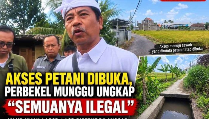 Heboh Jalur Hijau Munggu! Perbekel Sebut Izin Pembangunan Sampai Bupati Dan Presiden, Benarkah?
